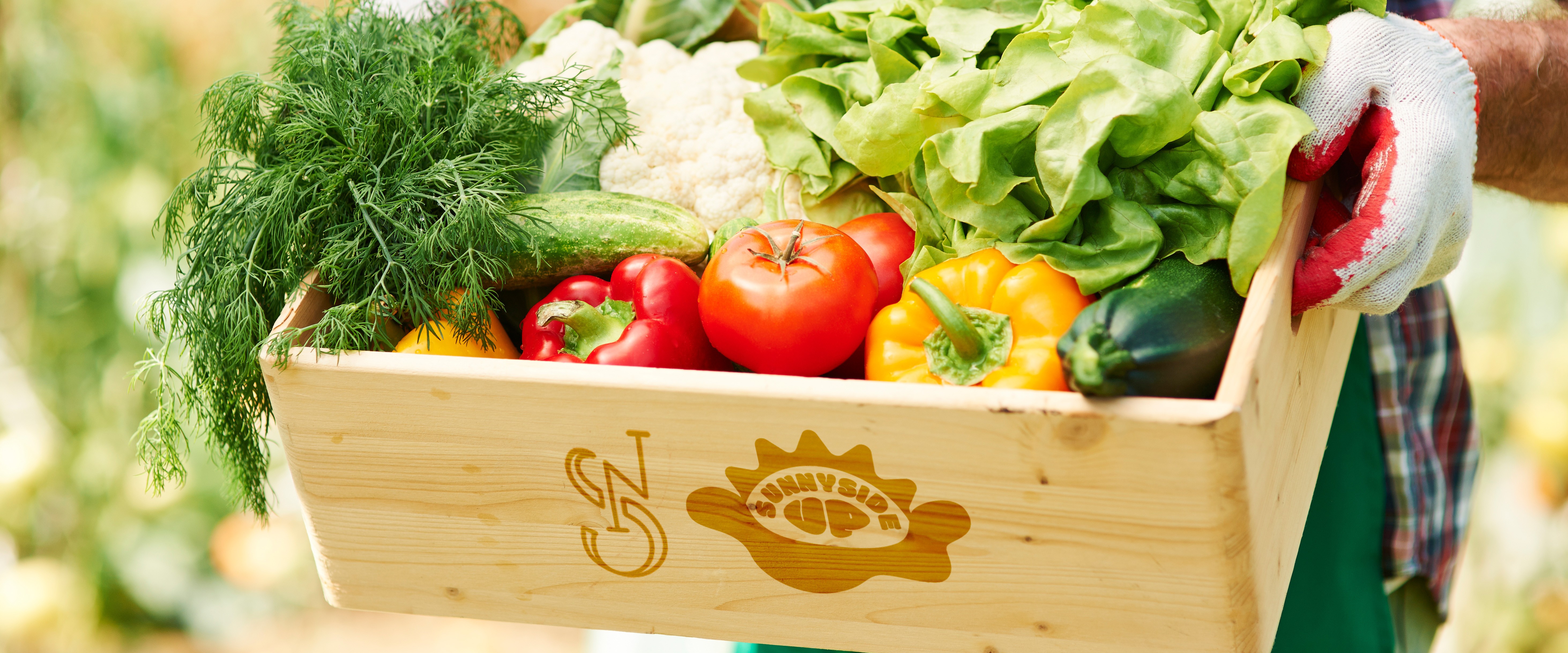 Farmer market project thumbnail